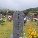 (2026년5월3일) 고(故) 정연승 원사 (149회) 이미지
