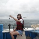 혜정수산