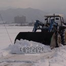 군탄 2리 데일리안