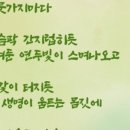 봄뜻