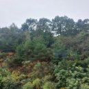 젠헤어드레싱이.미용학원