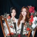 아샤트리 카카오 검색결과