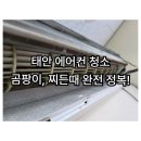 모든 오피스 태안서산점 | [공지] 태안 에어컨 청소 연구실 에어컨 내부 완전 정복 후기!