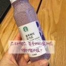자바 | 스타벅스 블루베리요거트 직접 먹은 후기 (+자바칩 프라푸치노)