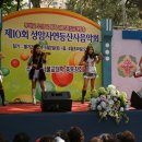 화이트폭스