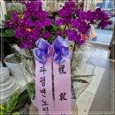 인지공판장 | 수입 꽃 종류와 반입 요일 확인 방법