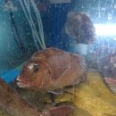 남해수산시장 이미지