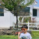 용두목장 이미지