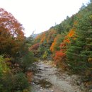 상대농장 이미지