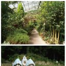 디자인이스마인