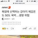 폭염에 산책하는 강아지 체감온도 50도 육박…생명 위험 이미지