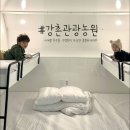 강촌관광농원 이미지