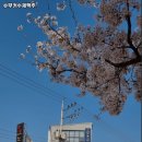 슈무커수제맥주 네이버블로그