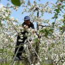 정우성농장 이미지