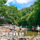 산내들가든 | 아이와 가기 좋은 수심이 다양한 부산 근교 계곡 추천 양산 산내들가든 평상대여