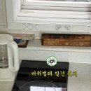 빼애방역
