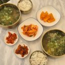 (주)맑은숨의료기 | [ 보람동맛집 세종한우곰탕 진하고 깊은 한우맑은곰탕 아침식사 가능 ]
