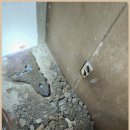 대청로116번길 | 광진구 자양동 옥상방수 전문가와 당일 출동 서비스 경험 후기