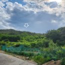 사리다목적회관 이미지