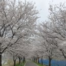 오향6리 네이버블로그