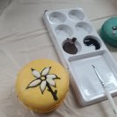 성분도비둘기공부방 이미지