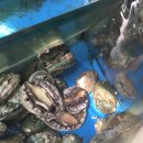 장자집 국밥 이미지