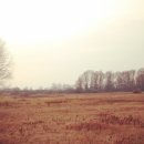 GOGO당구장 이미지