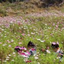 강담어린이집 이미지