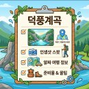 금강송체험야영장 | 삼척 덕풍계곡, 자연 그대로의 비경과 알짜 여행 정보 정리