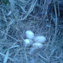 우승농장 이미지