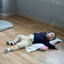 도겸목장 이미지