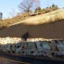 조선대학교병원 이미지