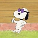 파티오6747 이미지