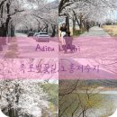 송해보건지소 이미지