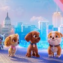 씨티퍼피 이미지