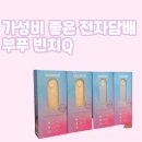 서초대로46길 96 | 맛표현+휴대성 모두 잡은 가성비 전자담배 추천 부푸 빈치Q