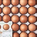 창석이네 식당 이미지