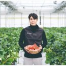 대한글로벌팜