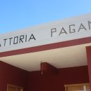 파토리아 이미지