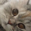 명동예쁨주의쁨의원 이미지