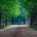 사람과사람 이미지