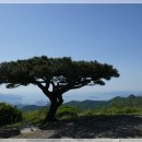 260425 창원 불모산~수리봉(불모산~웅산~시루봉~자은봉~수리봉)원점회귀 이미지