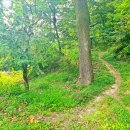 월평약수터 이미지