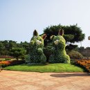 코리아플라워파크 이미지