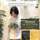 피에스아트기획 | 원데이클래스.이끼.테라리움만들기.치유.숲.그림책연계수업.테라리움체험_피에스플랜트아트스튜디오
