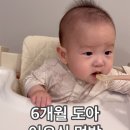 다올DETAIL