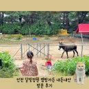 남동53 | 인천 남동구 물놀이 캠핑장 달빛정원 몸만 가도 되는 곳 내돈내산 방문후기