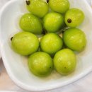 김천식당 | 김천 직지사 맛집 울산식당 산채한정식 내돈내산 솔직후기