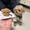 포레그스(삼송점) 이미지