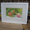 복숭아쉼터 이미지